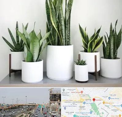 فروش گلدان در بلوار توس مشهد 