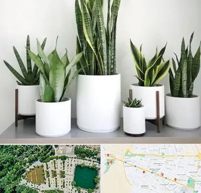 فروش گلدان در وکیل آباد مشهد 