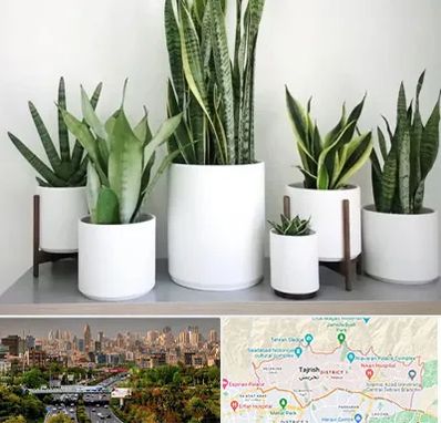 فروش گلدان در منطقه 1 تهران 