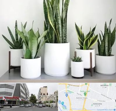 فروش گلدان در بلوار فردوس 