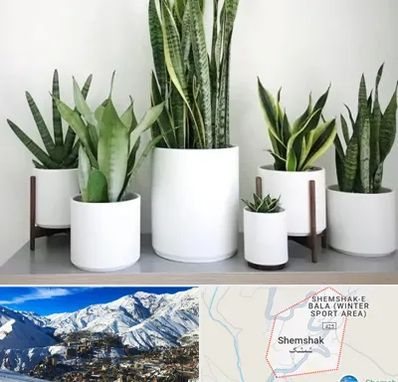 فروش گلدان در شمشک