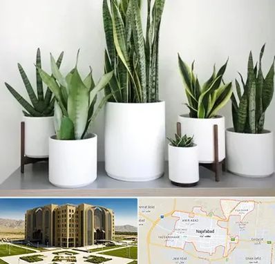 فروش گلدان در نجف آباد