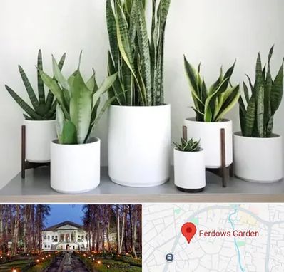 فروش گلدان در باغ فردوس