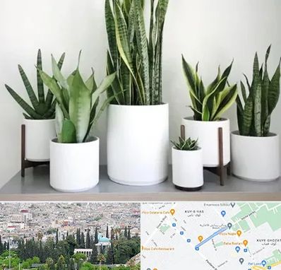 فروش گلدان در محلاتی شیراز 