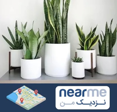 فروش گلدان در نزدیک من