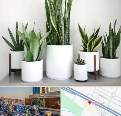 فروش گلدان در لاله پارک تبریز