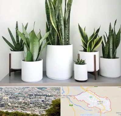 فروش گلدان در یاسوج