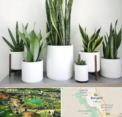 فروش گلدان در بروجرد