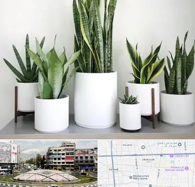 فروش گلدان در مرکز تهران