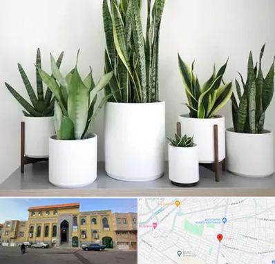 فروش گلدان در زنبیل آباد قم