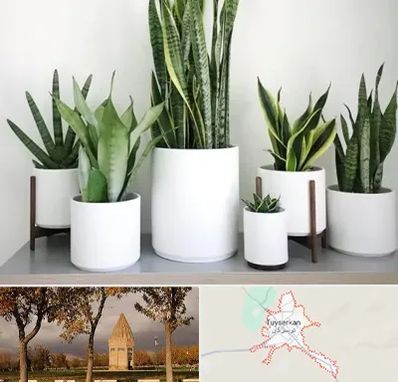 فروش گلدان در تویسرکان