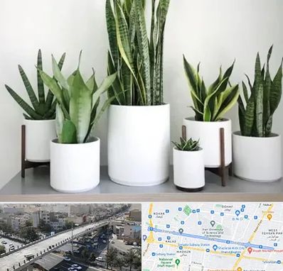 فروش گلدان در فرجام 