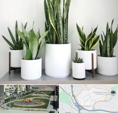 فروش گلدان در مرزداران تبریز