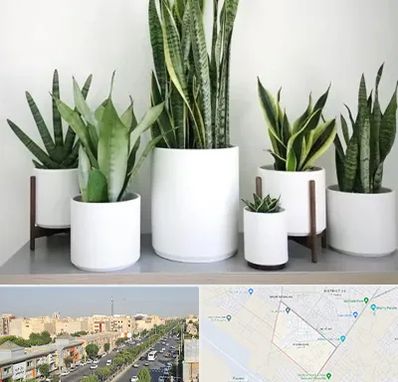 فروش گلدان در کیانمهر کرج 