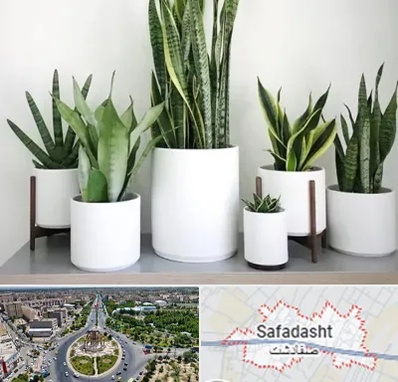 فروش گلدان در صفادشت
