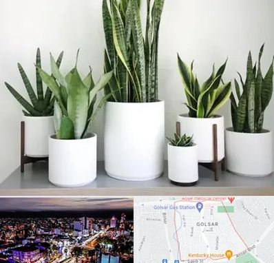 فروش گلدان در گلسار رشت 