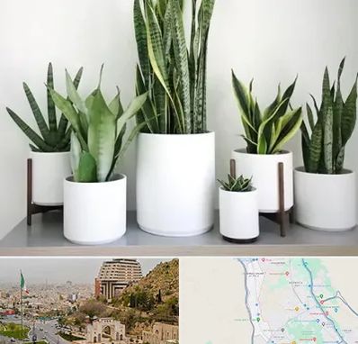 فروش گلدان در فرهنگ شهر شیراز 