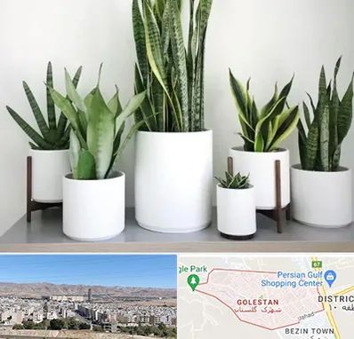 فروش گلدان در شهرک گلستان شیراز 