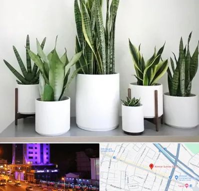 فروش گلدان در آبرسان تبریز