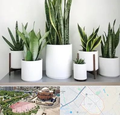 فروش گلدان در گلستان اسلامشهر