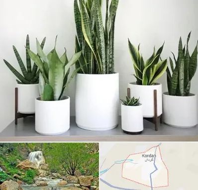 فروش گلدان در کردان