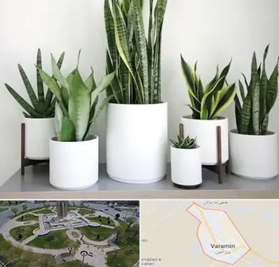 فروش گلدان در ورامین