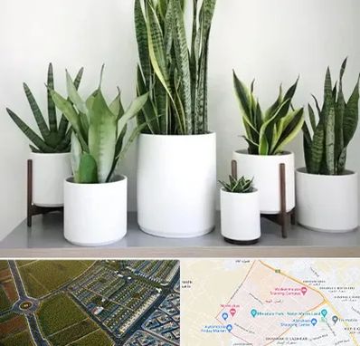 فروش گلدان در الهیه مشهد 