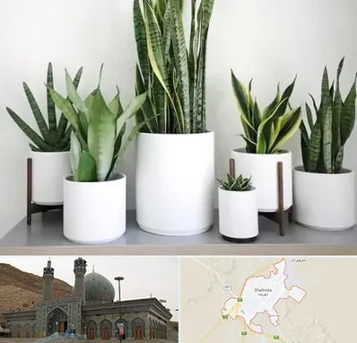 فروش گلدان در شهرضا