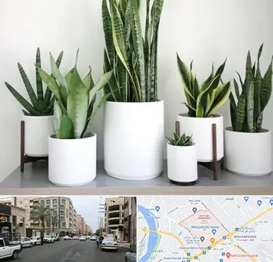 فروش گلدان در زیتون کارمندی اهواز 