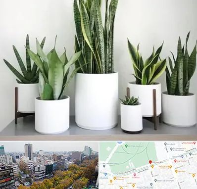 فروش گلدان در بلوار کشاورز 