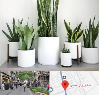فروش گلدان در ولیعصر شهریار