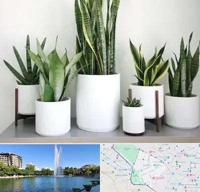 فروش گلدان در کوهسنگی مشهد 