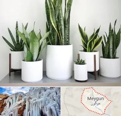 فروش گلدان در میگون