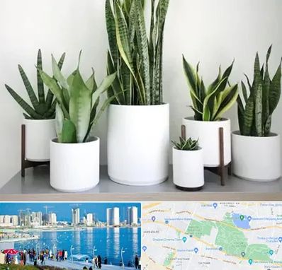 فروش گلدان در چیتگر 