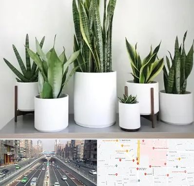 فروش گلدان در توحید 