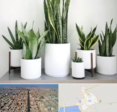 فروش گلدان در بندر ماهشهر