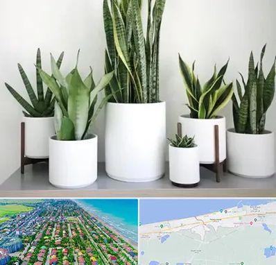 فروش گلدان در فریدونکنار