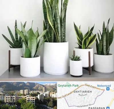 فروش گلدان در اختیاریه 