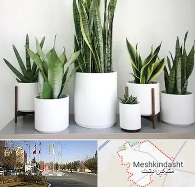 فروش گلدان در مشکین دشت