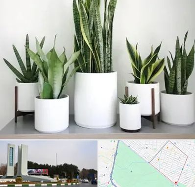 فروش گلدان در بلوار فلسیطین مشهد