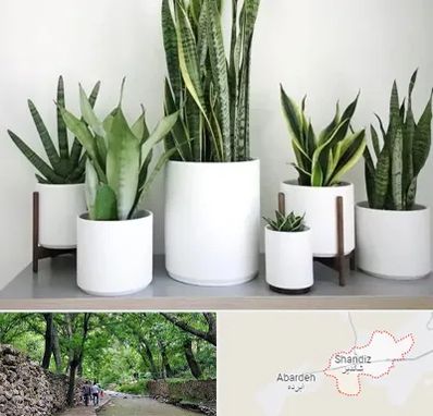 فروش گلدان در شاندیز مشهد