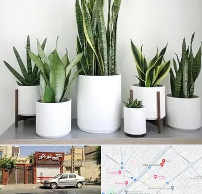 فروش گلدان در باجک قم