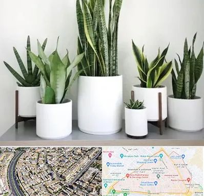 فروش گلدان در شهرک غرب مشهد 