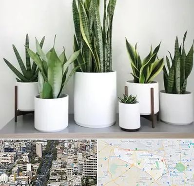 فروش گلدان در منطقه 18 تهران 