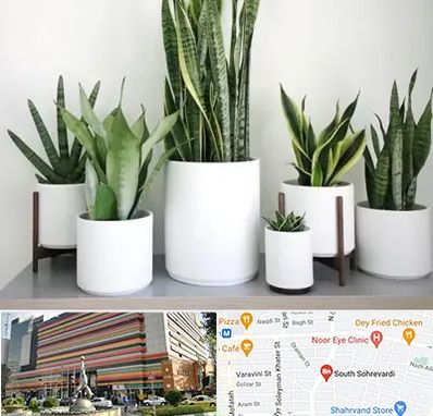 فروش گلدان در سهروردی 