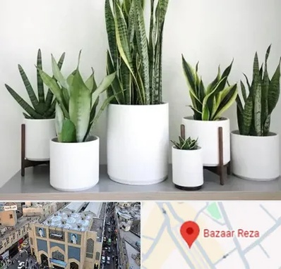 فروش گلدان در بازار رضا مشهد