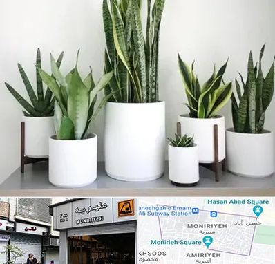 فروش گلدان در منیریه 