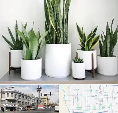 فروش گلدان در 17شهریور