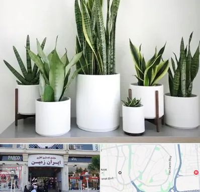 فروش گلدان در ایران زمین