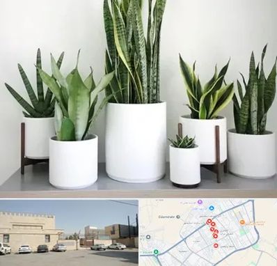 فروش گلدان در نواب اسلامشهر